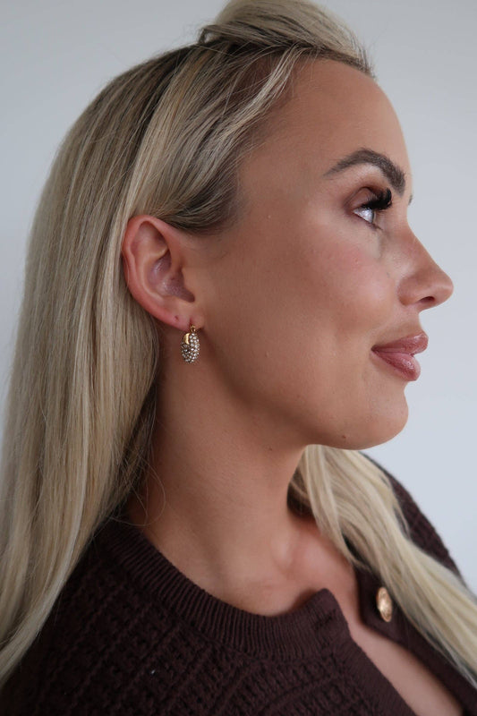 Small Gold Diamond Hoops